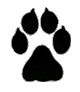 Dog print